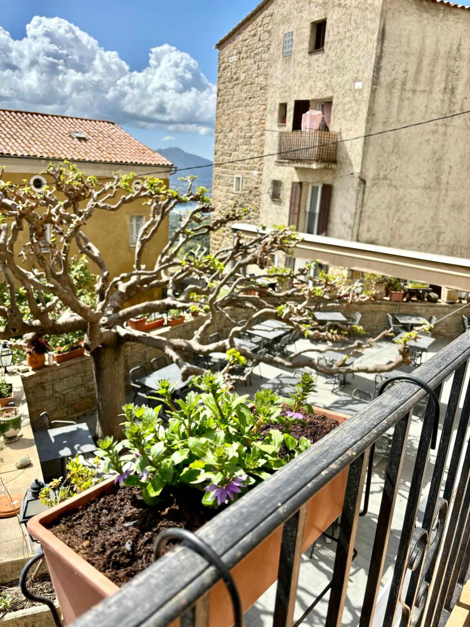 Hoetel U Santa Maria Olmeto  Rum bild