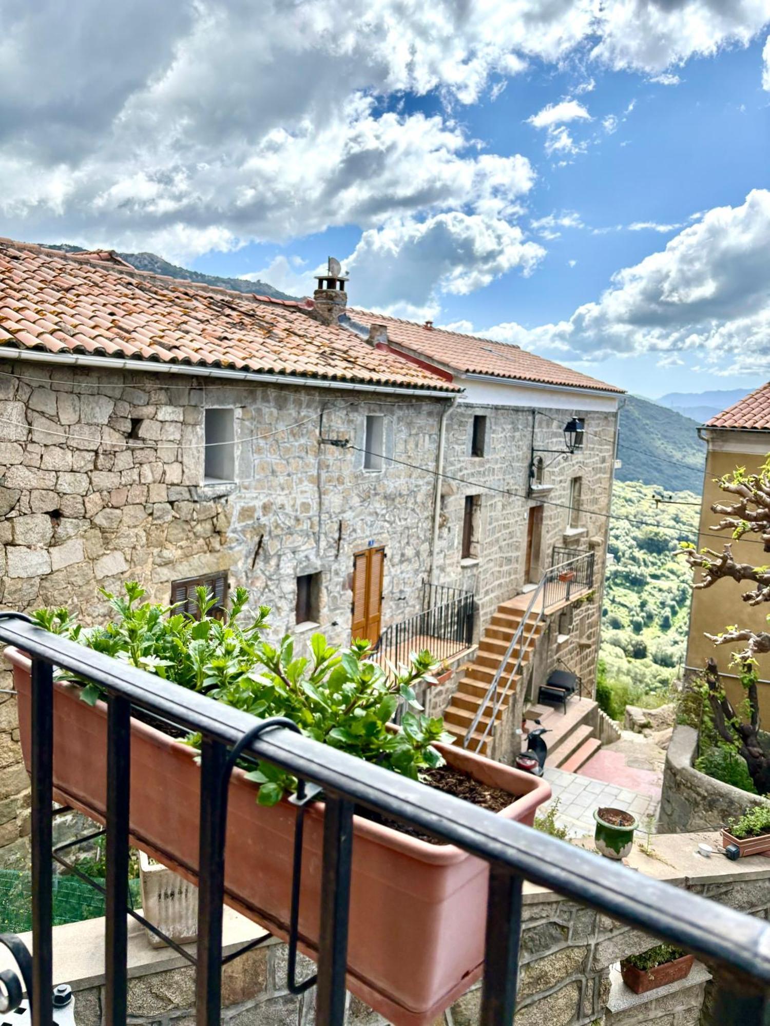 Hoetel U Santa Maria Olmeto  Rum bild